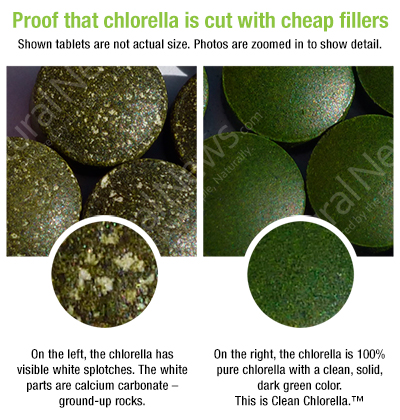 Chlorella Comparison